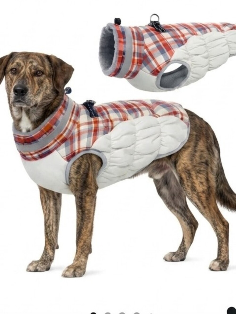 Classic Red Plaid & Cream Quilted Dog Coat - Cozy Winter Jacket